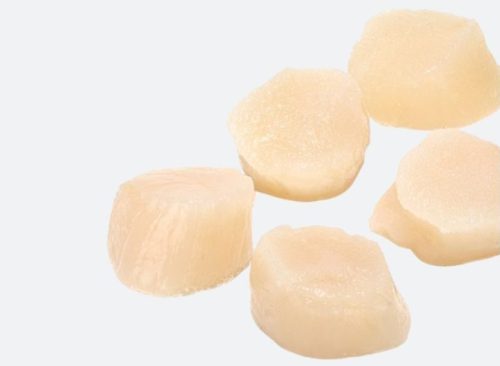 Carne de vieira Hokkaido (31-35 piezas)