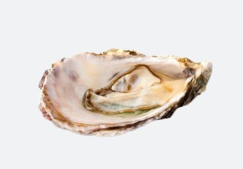 Ostras Poget - Super Speciale N2 (12 x 79-90 g)